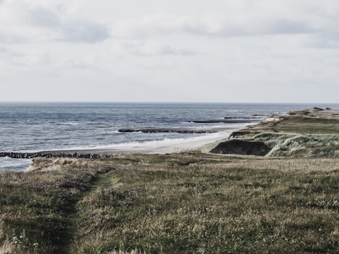 En gräsbevuxen dynäng ovanför en Nordsjöstrand