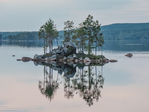 En liten tallbevuxen ö speglad i en stilla nordisk sjö